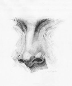 Dr. David Cangello Plastic Surgeon NYC Rhinoplasty Art