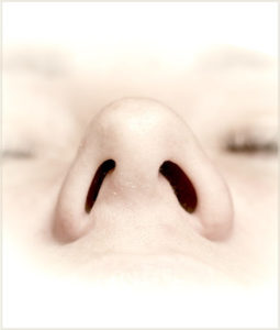 Figure 1. Deviated septum, swimmer’s view.